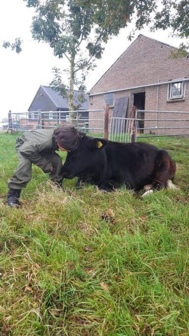 De Kaasmakerij - Ruim Vakantiehuisje Op Huize Blokland Hem Exterior foto